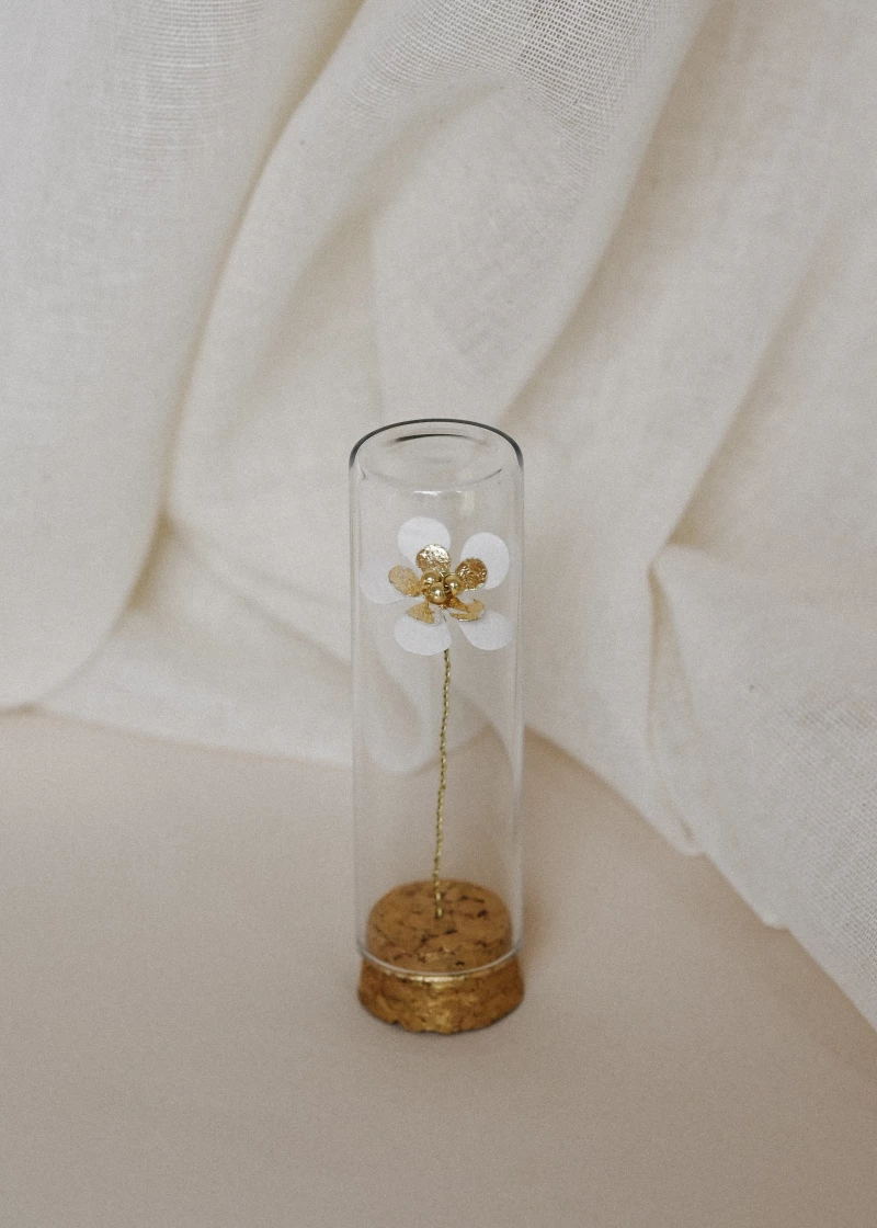 Coffret Nala blanc/doré