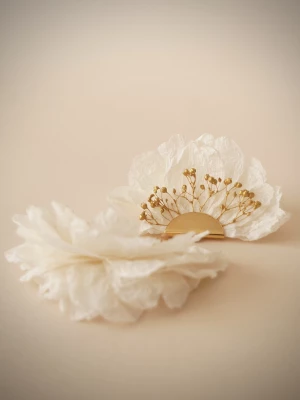 Miniature